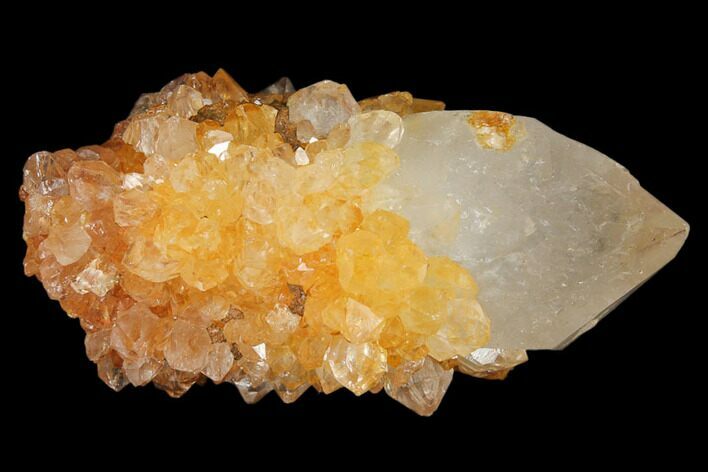 Sunshine Cactus Quartz Crystal - South Africa #122315